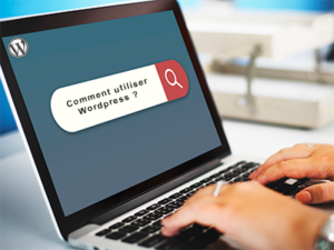 Lire la suite à propos de l’article WordPress pour les nuls