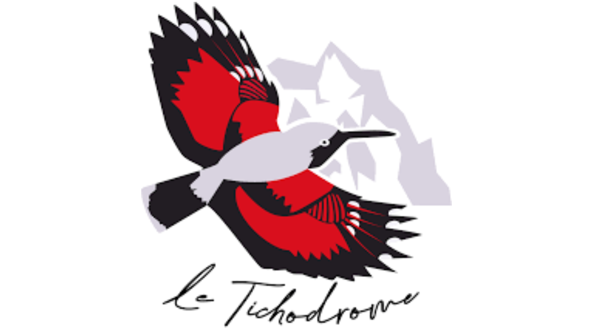 Campagne de recrutement du Tichodrome